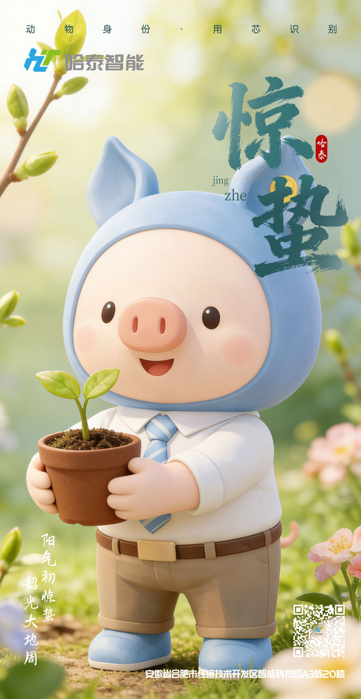 小猪ip
